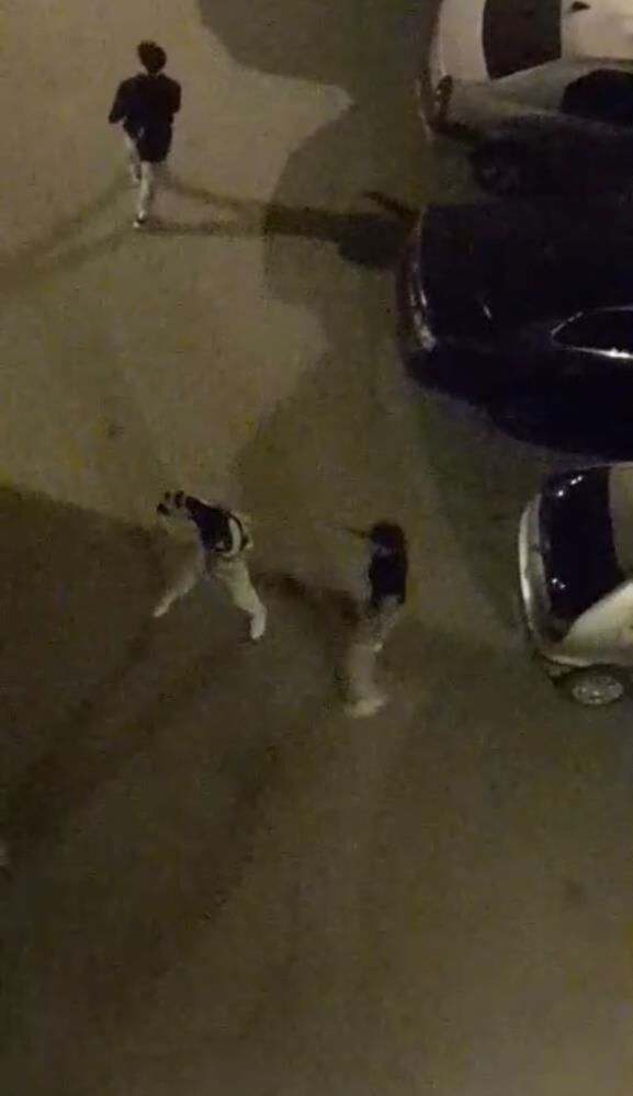 Dakikalarca Süren Kavgası, (1)