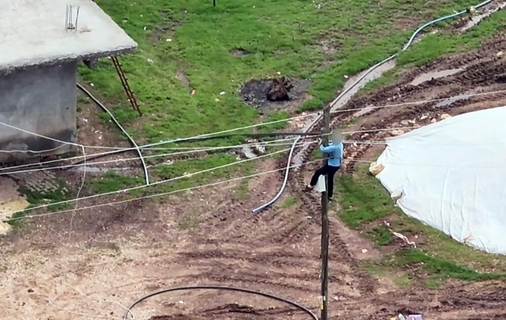 Dronu Görün Köylüler Kaçak Elektrik Hatlarını Tek Tek Iptal Ettiler!, (2)