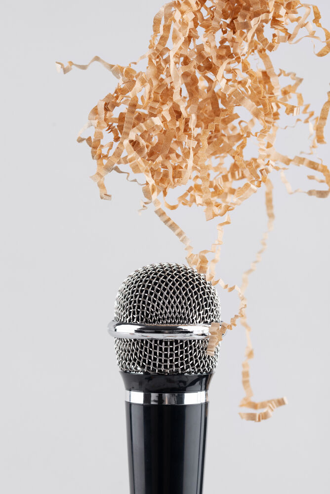 Dünya Ses Günü 16 Nisan Ne Günü Gençgazete (3)