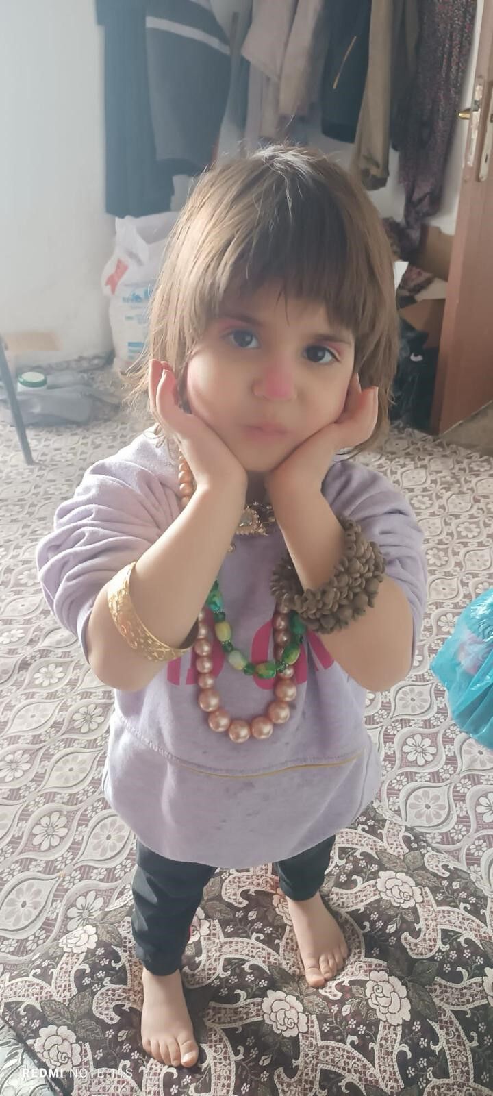 Hizan’da Kayıp Kız Çocuğu Için Arama Çalışması Başlatıldı