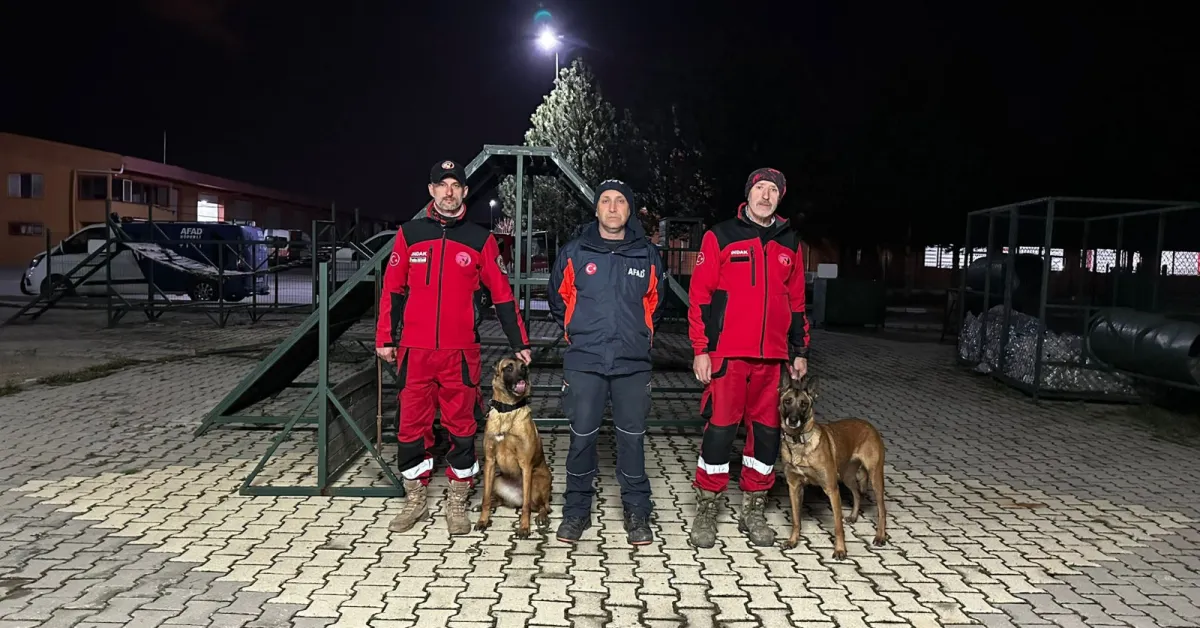 İndak K9 Köpeklerine Afad'dan Görev Yeterlilik Sertifikası (2)