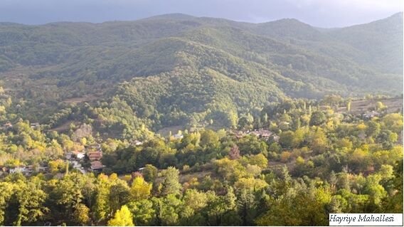 İnegöl’de Tarimin Geri̇leyi̇şi̇ Ercan Eroğlu Gençgazete (1)