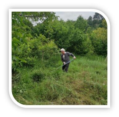 İnegöl’de Tarimin Geri̇leyi̇şi̇ Ercan Eroğlu Gençgazete (2)