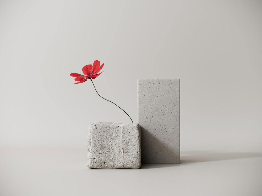 Minimalizm Akımı Nedir Minimalizm Akımı İslam’a Uygun Mu Gençgazete (2)