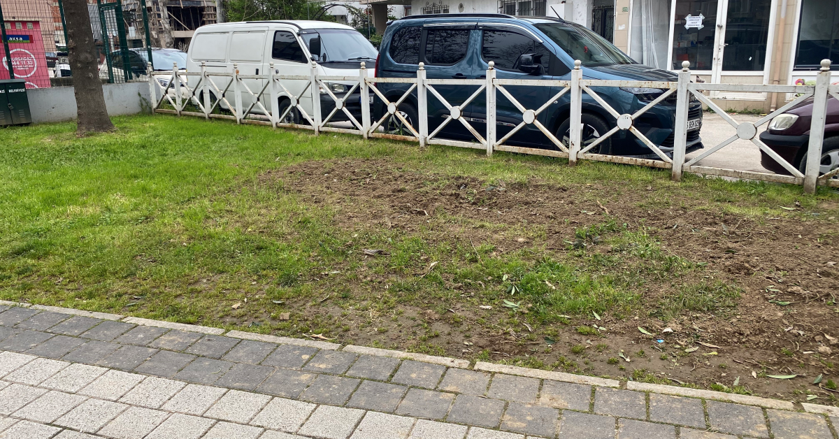 Parkta Toplanan Zakkum Az Daha Facia Getiriyordu! Küçük Çocuk Ölümden Döndü (2)