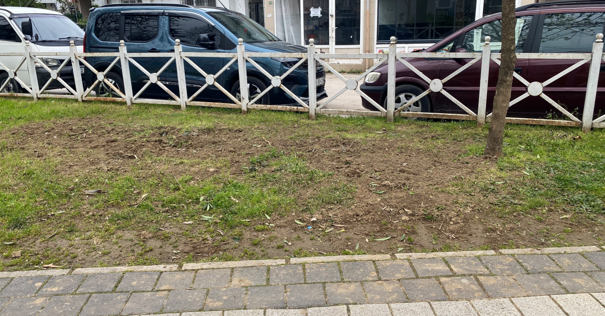 Parkta Toplanan Zakkum Az Daha Facia Getiriyordu! Küçük Çocuk Ölümden Döndü (3)