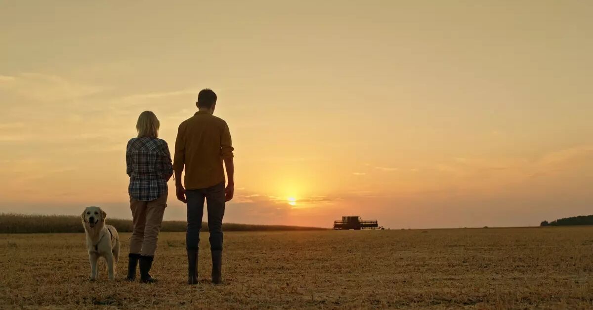 Şehirden Köye Gidene Maaş Bağlanacak Şartlar Açıklandı (2)