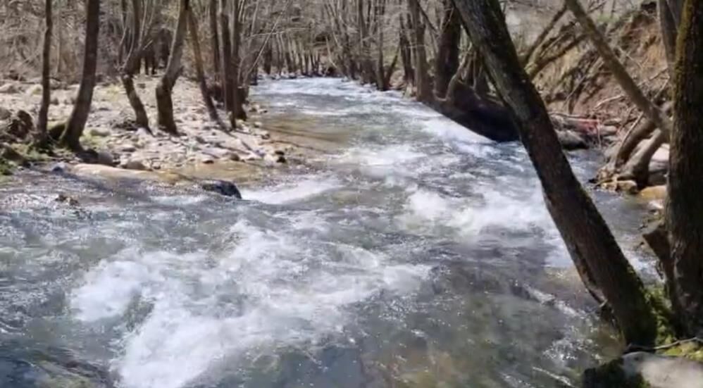 Son Yağışlar Nilüfer Barajı'nı Doldurdu! (5)