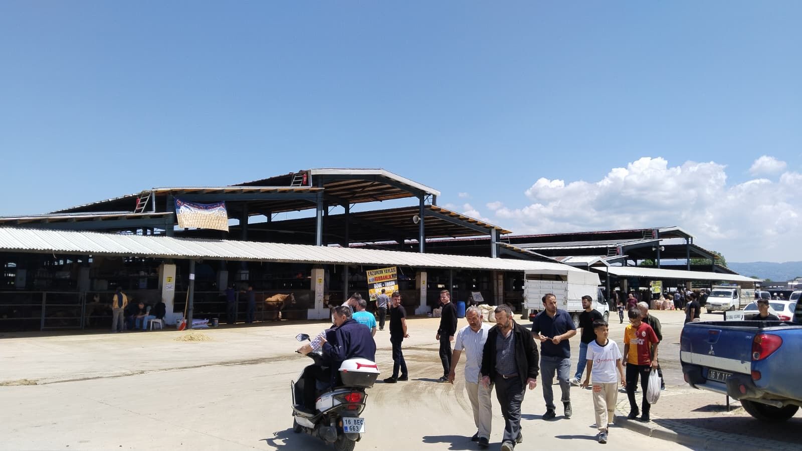 Bayrama Saatler Kala İnegöl Hayvan Pazarı’nda Yoğunluk Zirve Yaptı! (1)