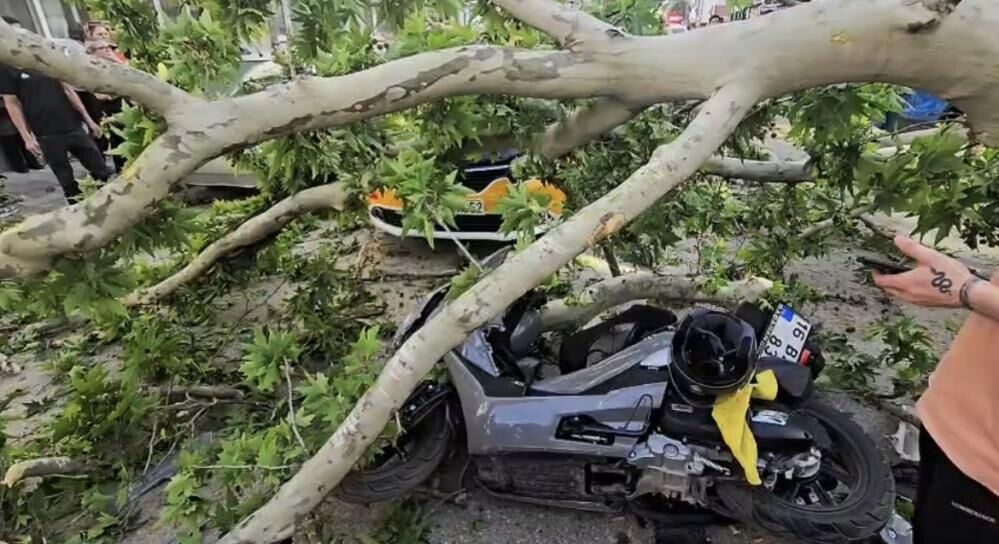 Bursa'da Devrilen Ağacın Altında Kalan Motosiklet Sürücüsü Yaşam Mücadelesi Veriyor! (2)