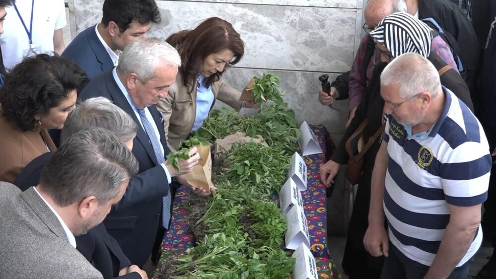 Bursa'da Ücretsiz Fide Izdihamı! 120 Bin Fide Dakikalar Içinde Dağıtıldı (2)