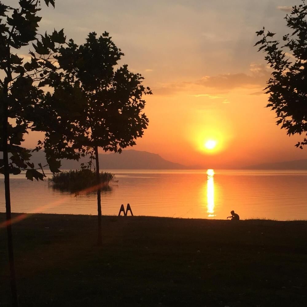 Bursa'da Yatırımcılar Hobi Bahçesi, Bungalov Ev Ve Havuzlu Evler Için Yer Arıyor! (2)