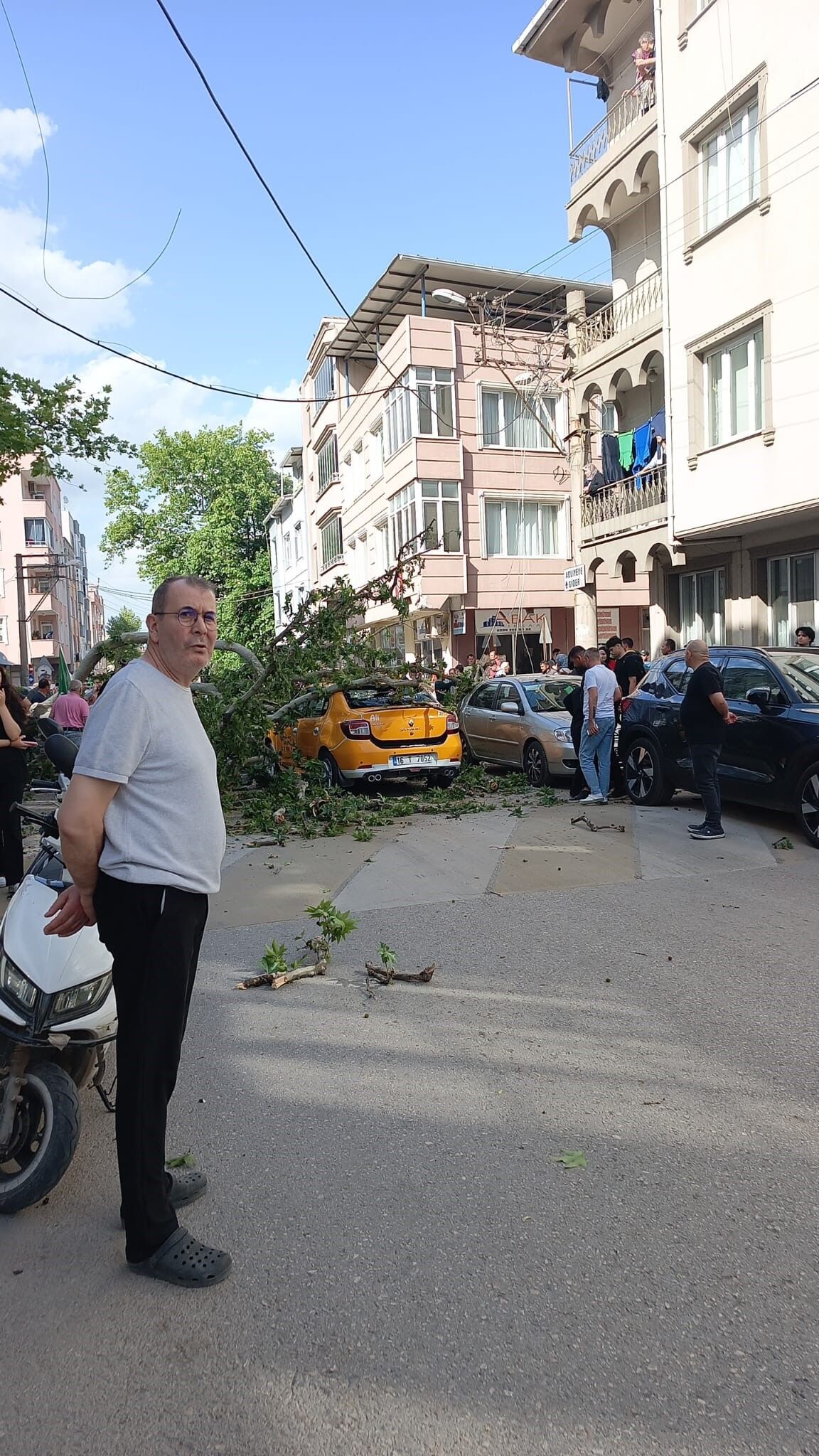G Bursa'da Seyir Halindeki Araçların Üzerine Ağaç Devrildi (1)-1
