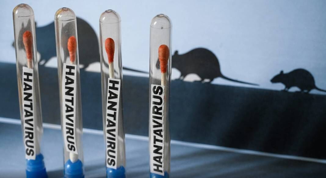 Grip Sanıp Geçmeyin! Hantavirüs Özellikle Bu Kişileri Tehdit Ediyor (3)