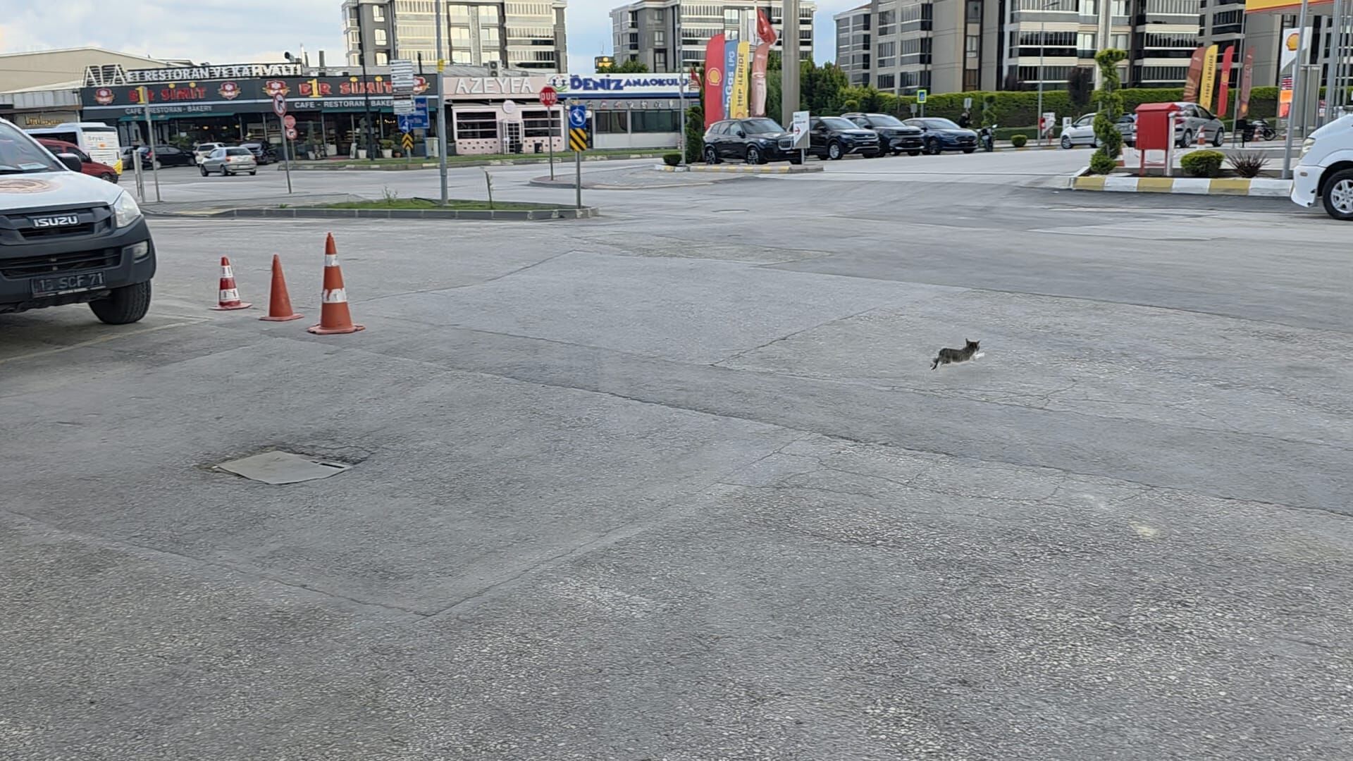 İnegöl’de Aracın Altına Giren Kedi İçin İtfaiye Seferber Oldu