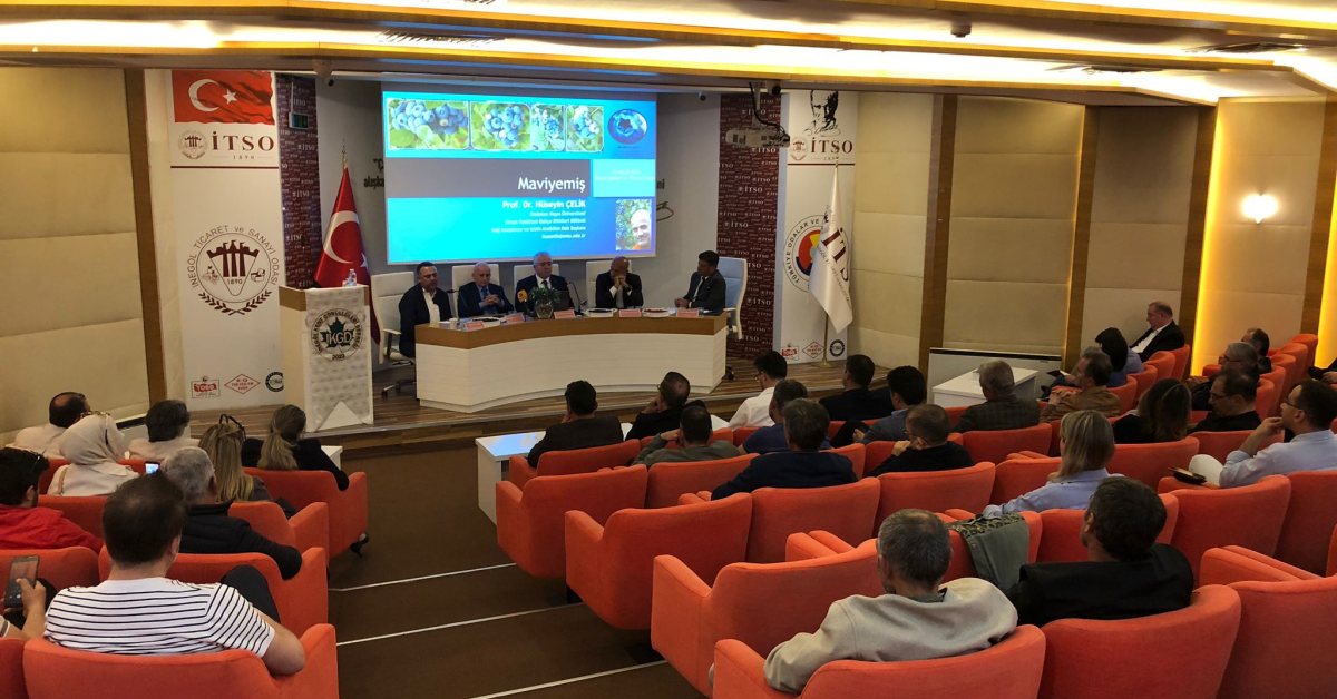 İnegöl’de Blueberry Için 200 Milyon Dolarlık Hedef (4)