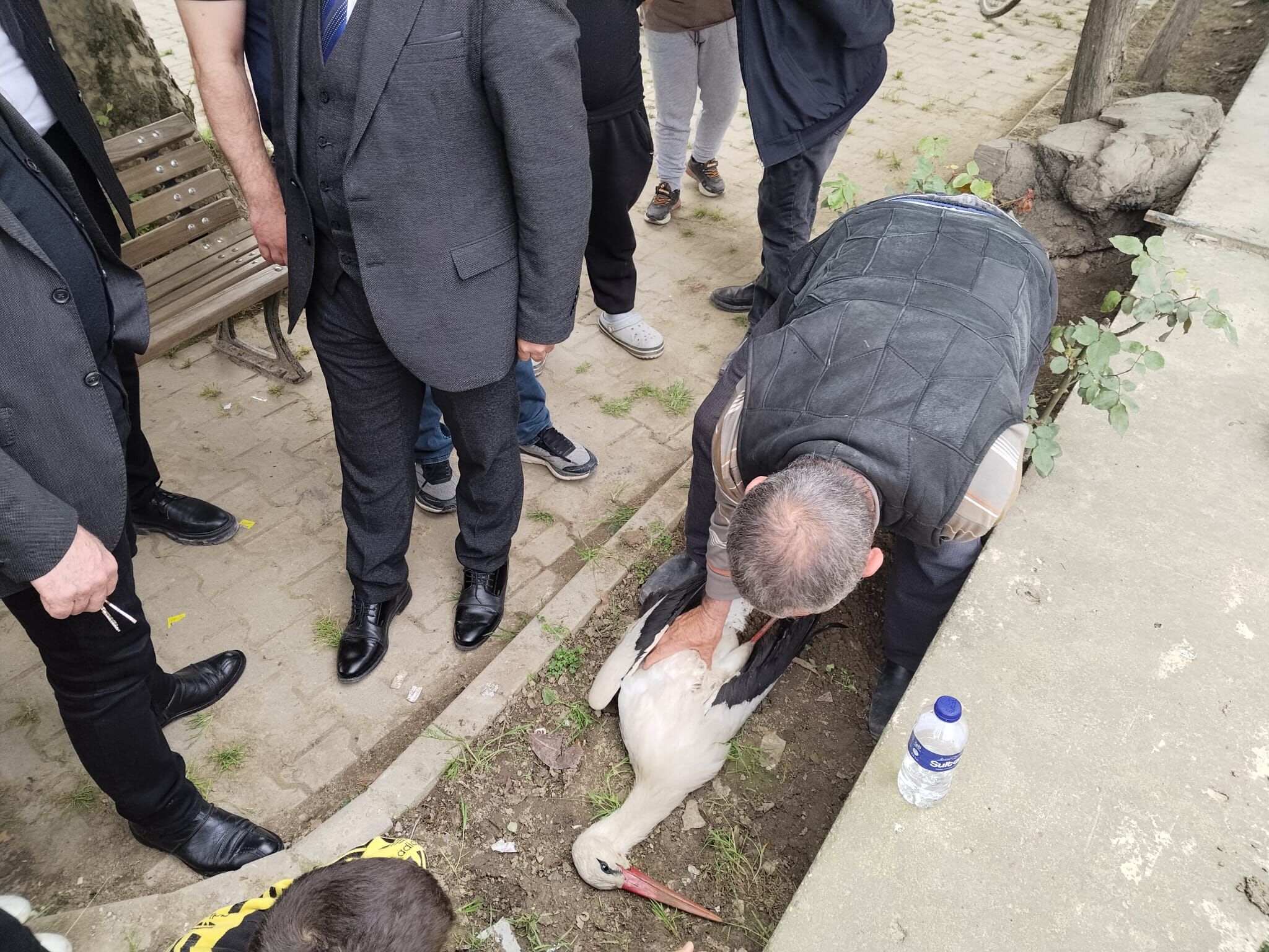 İnegöl’de Yürek Burkan Olay! Leylek Için Protokol Seferber Oldu-1