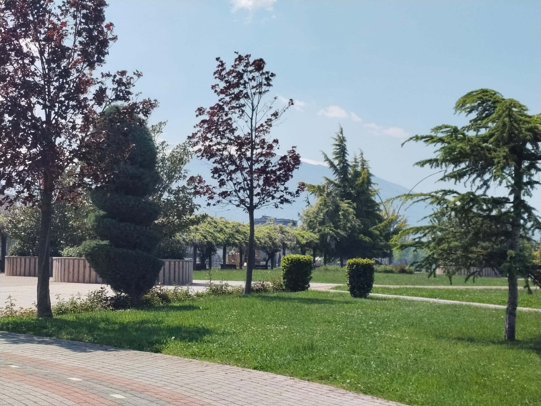 İnegöl'e Yeni Gastro Mu Geliyor Sırada Gastro İnegöl Köfte Mi Var (1)