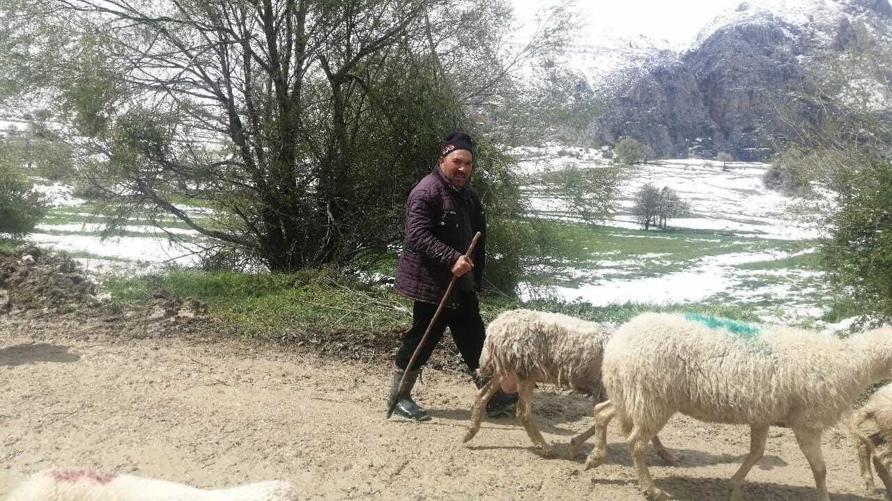 Isparta'da Yaylada Mahsur Kalan Çobanlar 30 Saat Sonra Kurtarıldı (1)