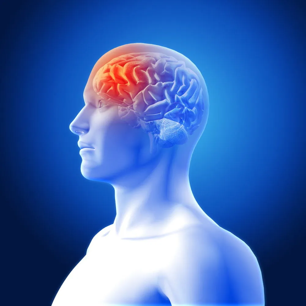 Bilim İnsanları Açıkladı! Meditasyonun Beyin Üzerindeki 4 Şaşırtıcı Etkisi (2)