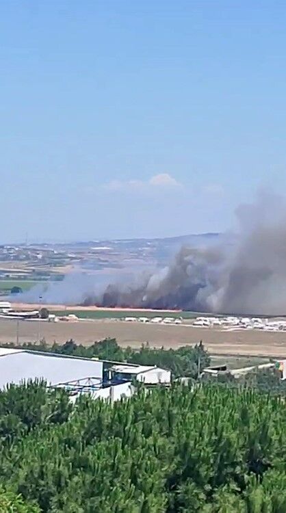 Bursa'da Buğday Tarlaları Alevlere Teslim Oldu (2)