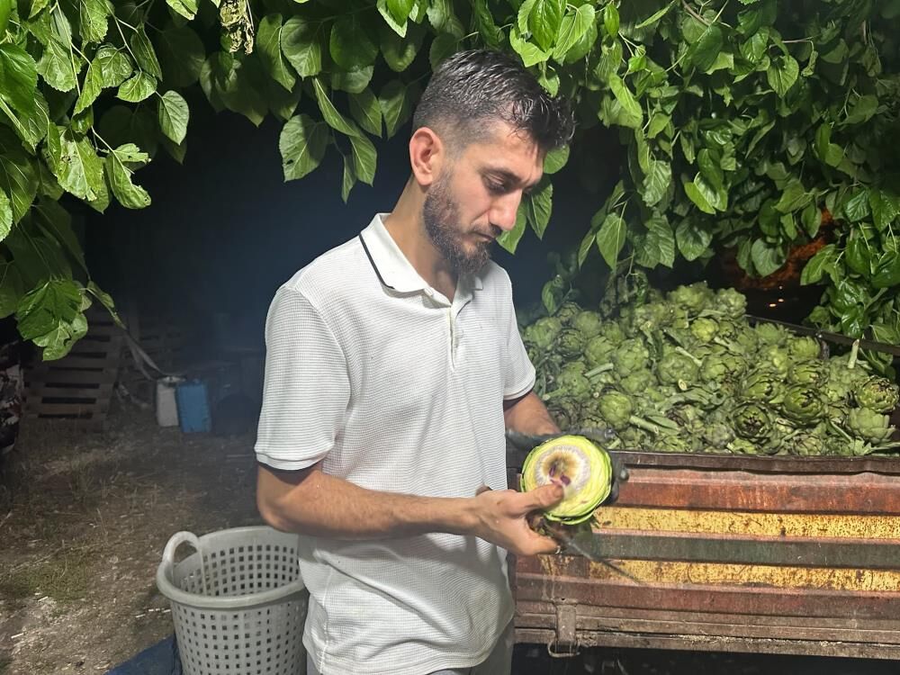 Bursa’da Enginar Soyucularının Hızı Şaşırtıyor! Günde 2 Bin Adet! (1)-2