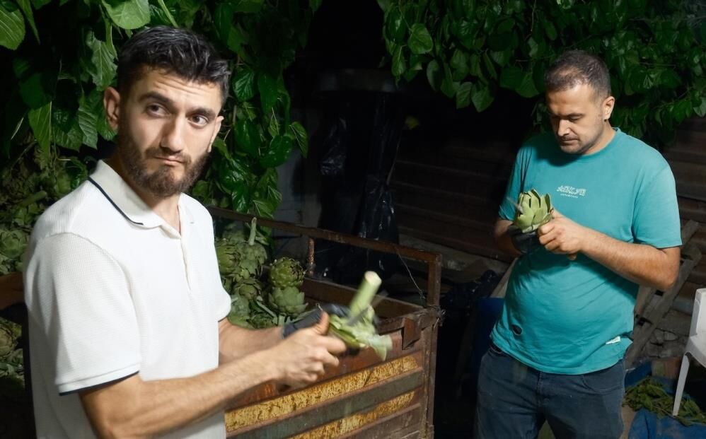 Bursa’da Enginar Soyucularının Hızı Şaşırtıyor! Günde 2 Bin Adet! (3)