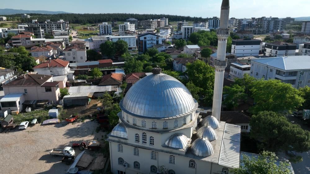 Caminin Kubbesindeki Anne Leylek Yürek Isıttı! (3)