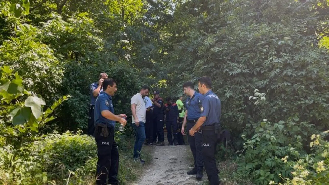 Genç Gazete Bursa’da Ihlamur Toplamaya Giden Yaşlı Adam Hayatını Kaybetti 1