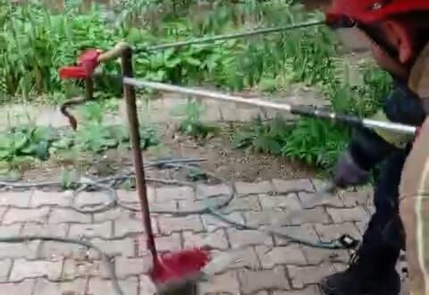 İnegöl’de Ağaca Çıkan Yılanı İtfaiye Ekipleri İndirdi (1)-1