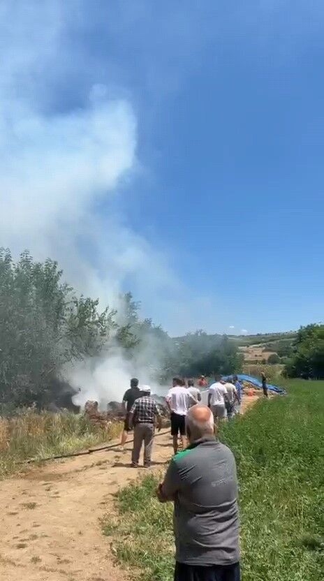 İnegöl'de Anız Yangını Araziyi Küle Çevirdi! (4)