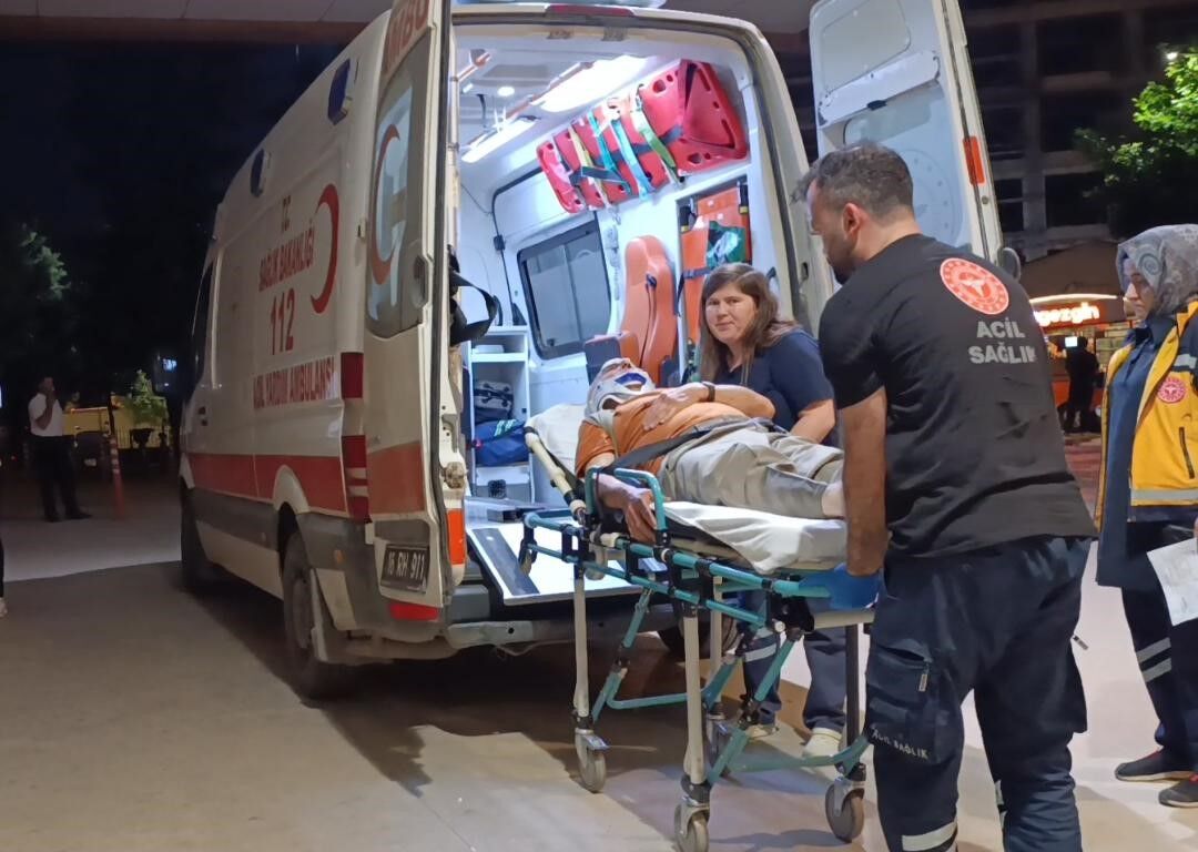 İnegöl’de Erik Toplarken Ağaçtan Düşen Yaşlı Adam Yaralandı (2)