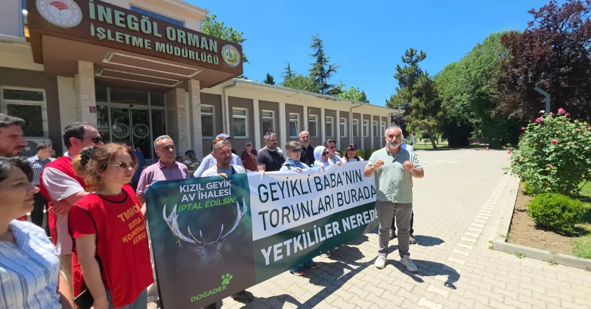 İnegöl’de Kızıl Geyik Avı Ihalesine Tepki Kararın Iptali Istendi (3)