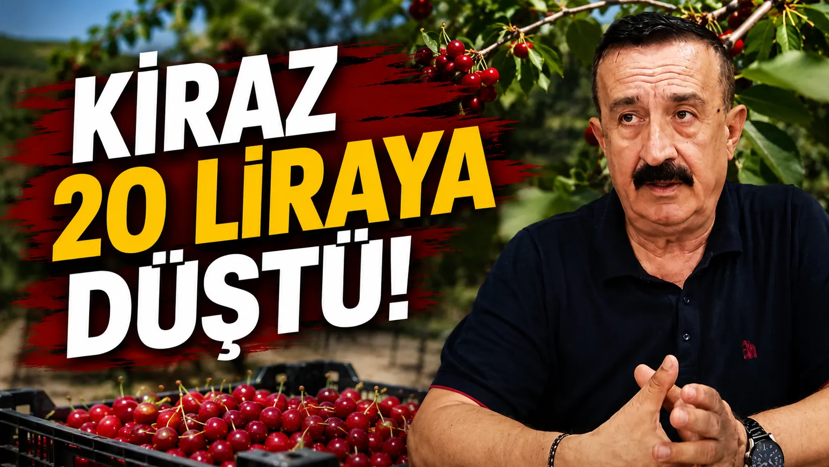 İnegöl’de Ürün Bol, Çiftçi Fiyatlardan Endişeli Kiraz 20 Liraya Kadar Düştü Gencgazete