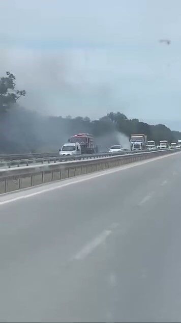 İzmir Bursa Kara Yolunda Yangın Çıktı (1)-1