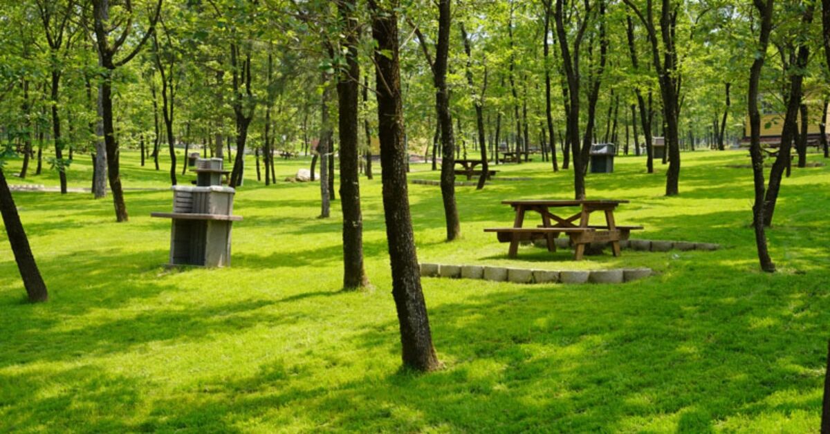 Osmanlı’nın Ilk Başkentlerinden Bursa, Tarihi Yerlerinin Yanı Sıra Doğal Güzellikleri Ile De Ön Plana Çıkan Bir Şehir. İşte Doğayla Iç Içe Bir Gün Geçirmek Isteyen, Kahvaltısını Deniz, Göl Yada Orman Manzarasıyla Yapmak