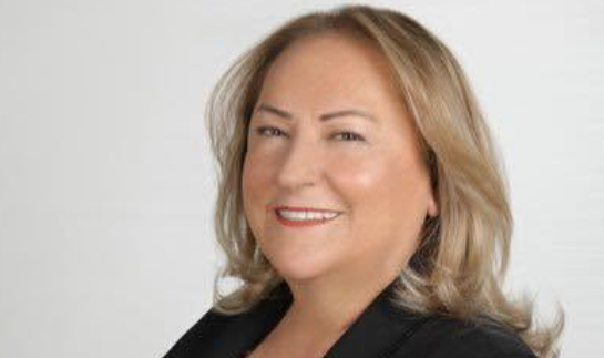 Yeni Chp Kadın Kolları Başkanı Ayten Gülsever Kaç Yaşında, Nereli-1