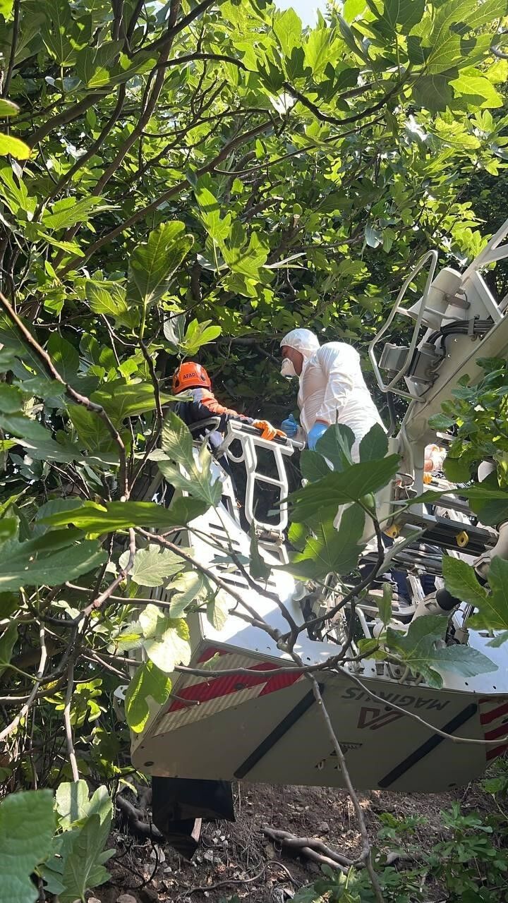 Ağaca Asılı Halde Bulunmuştu! Kimliği Belli Oldu (1)