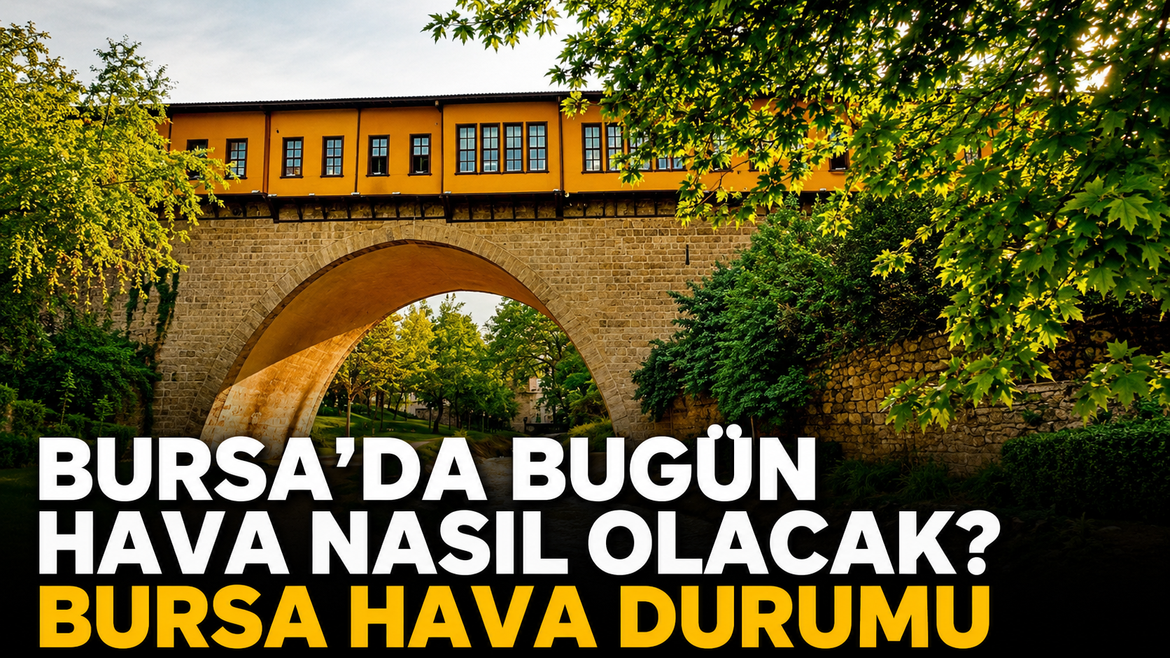 Bursa