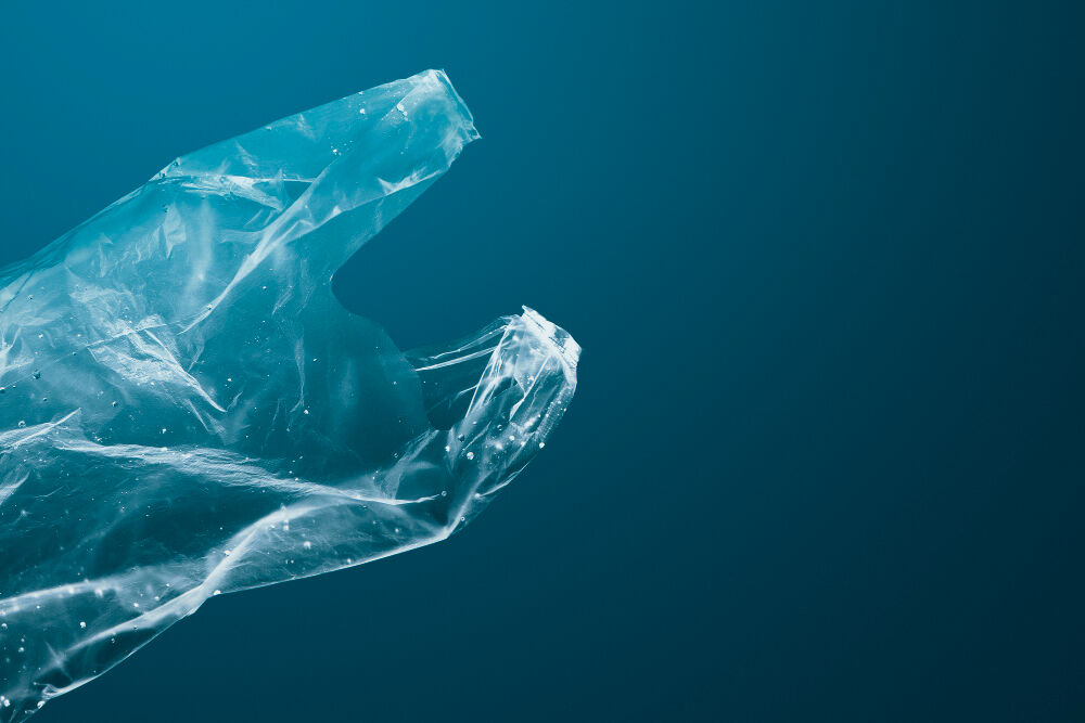 Dünyada Plastik Poşet Kullanmama Günü 03 Temmuz Ne Günü Gençgazete (1)