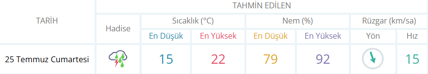 Ekran Görüntüsü 2026 07 25 011012