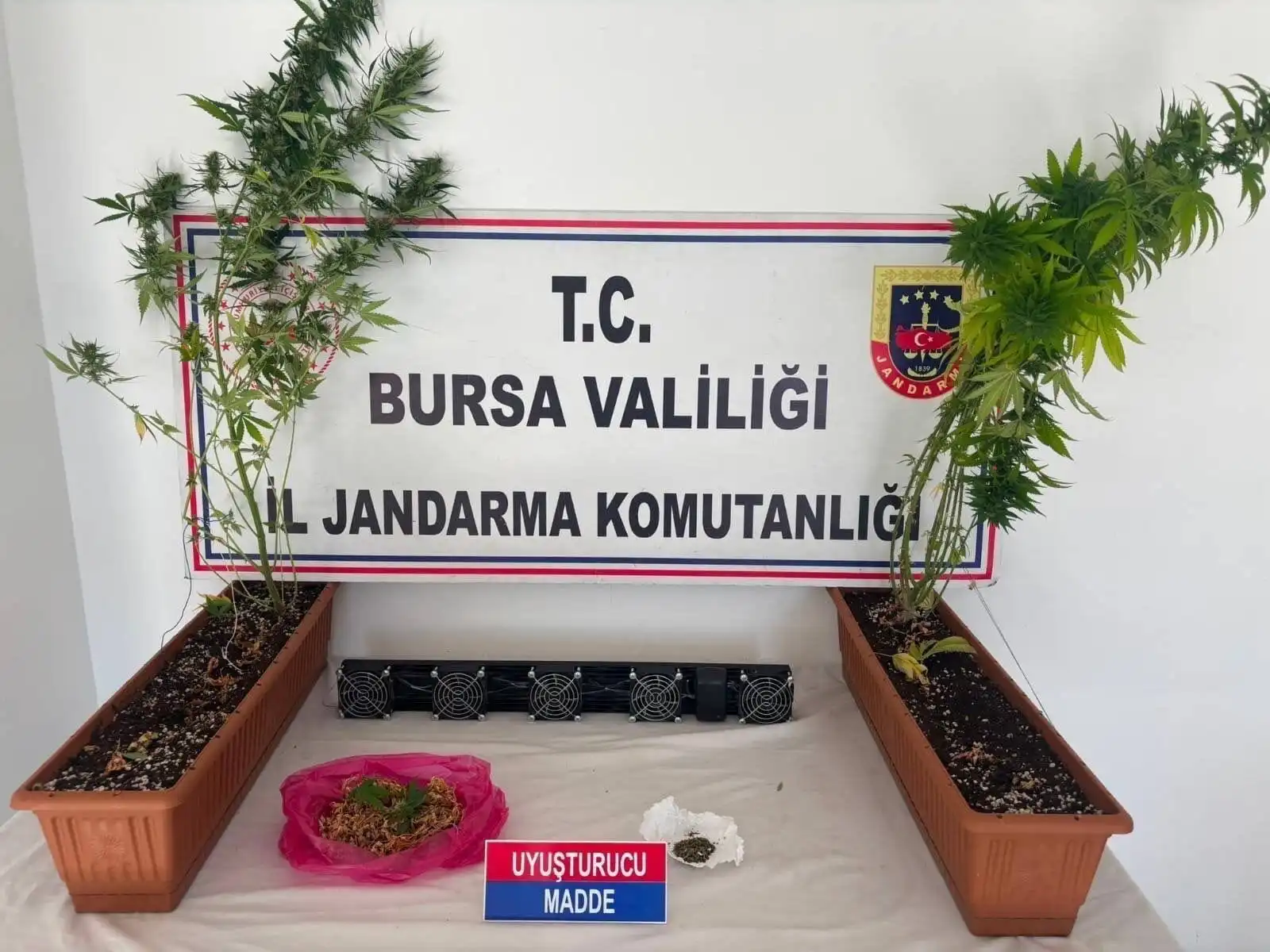 Genç Gazete Bursa Jandarmasından İnegöl Dahil 3 İlçede Eş Zamanlı Operasyon 1