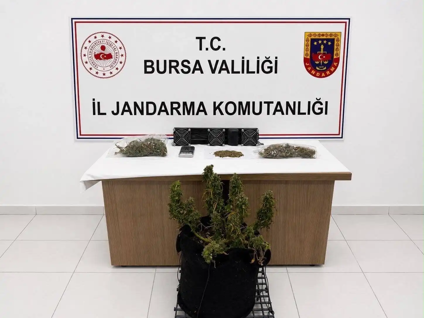 Genç Gazete Bursa Jandarmasından İnegöl Dahil 3 İlçede Eş Zamanlı Operasyon