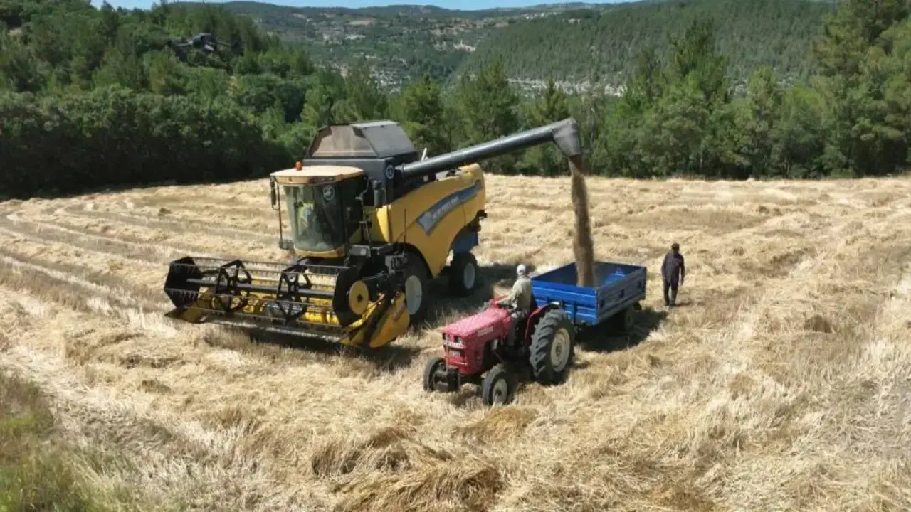 Genç Gazete Büyükşehir’den Üreticiye Tam Destek! Çiftçilerin Hasat Maliyetini Üstlendi (3)
