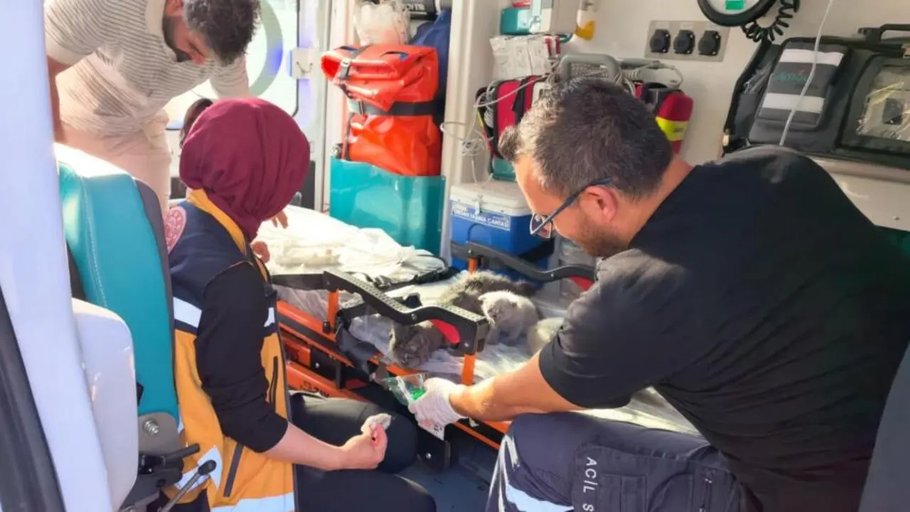 Genç Gazete İnegöl’de İtfaiyeden Kedilere Hayat Kurtaran Müdahale 1