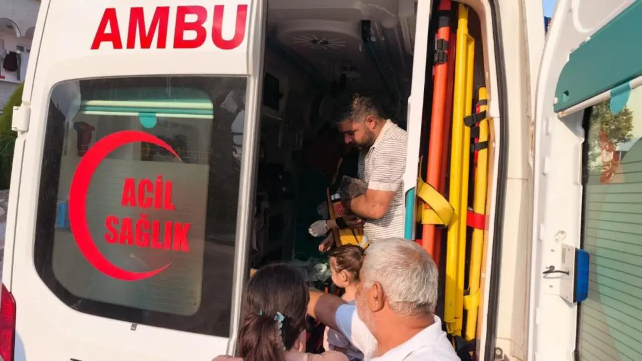 Genç Gazete İnegöl’de İtfaiyeden Kedilere Hayat Kurtaran Müdahale