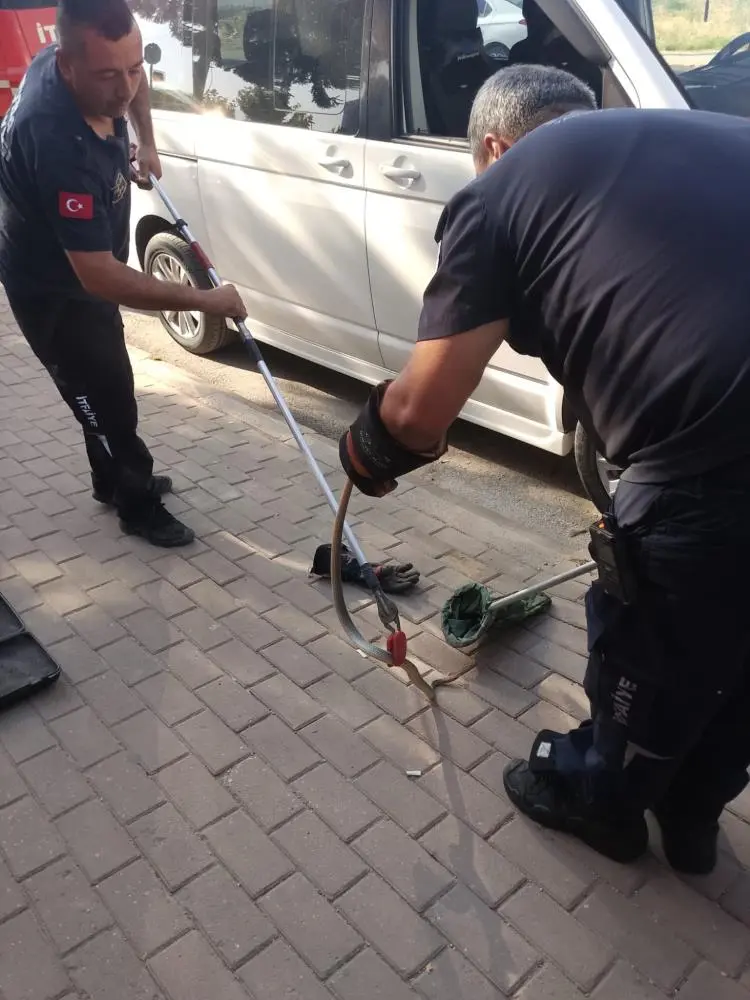 Genç Gazete İnegöl’de Minibüsün Motoruna Giren Yılan Itfaiyeyi Harekete Geçirdi 1