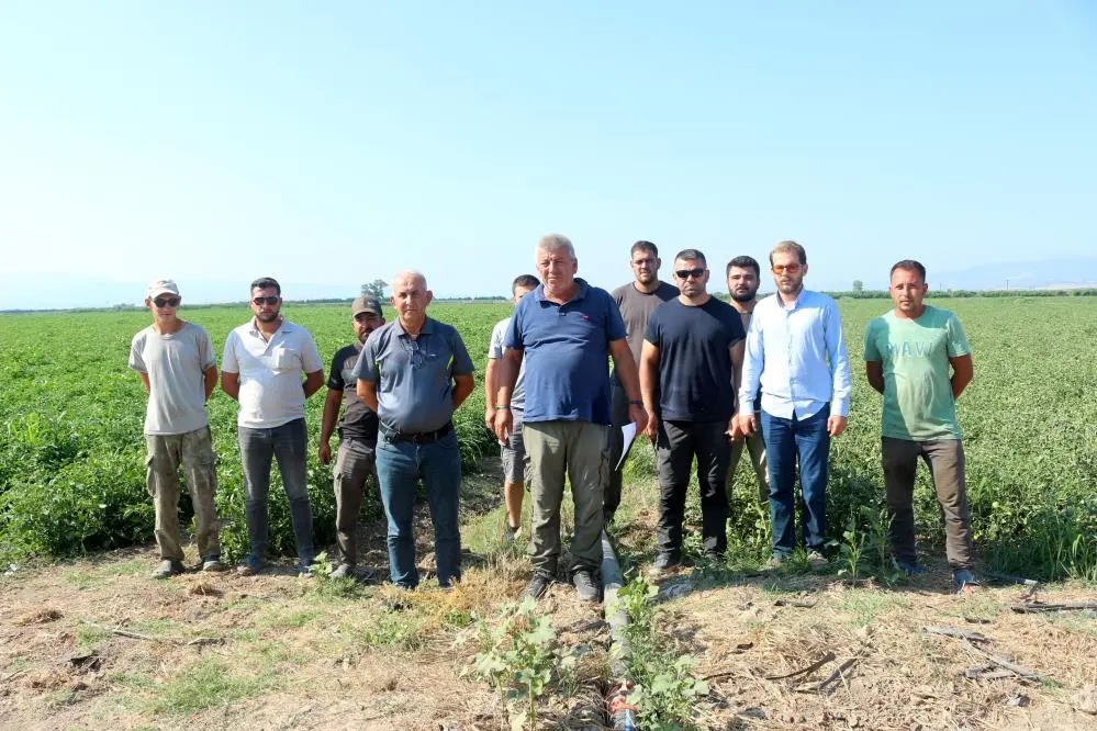 Genç Gazete Karacabeyli Çiftçiden Çeltik İlaçlı Su İsyanı “Yıllardır Çözüm Bekliyoruz”
