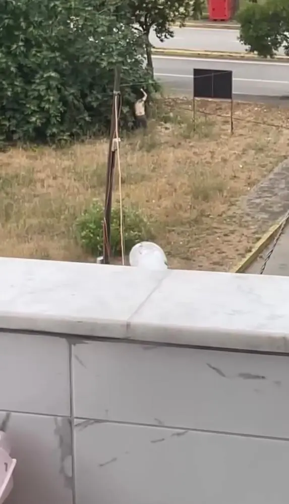 Genç Gazete Kocaeli’de Amca Yeğen Kavgası Can Aldı 1