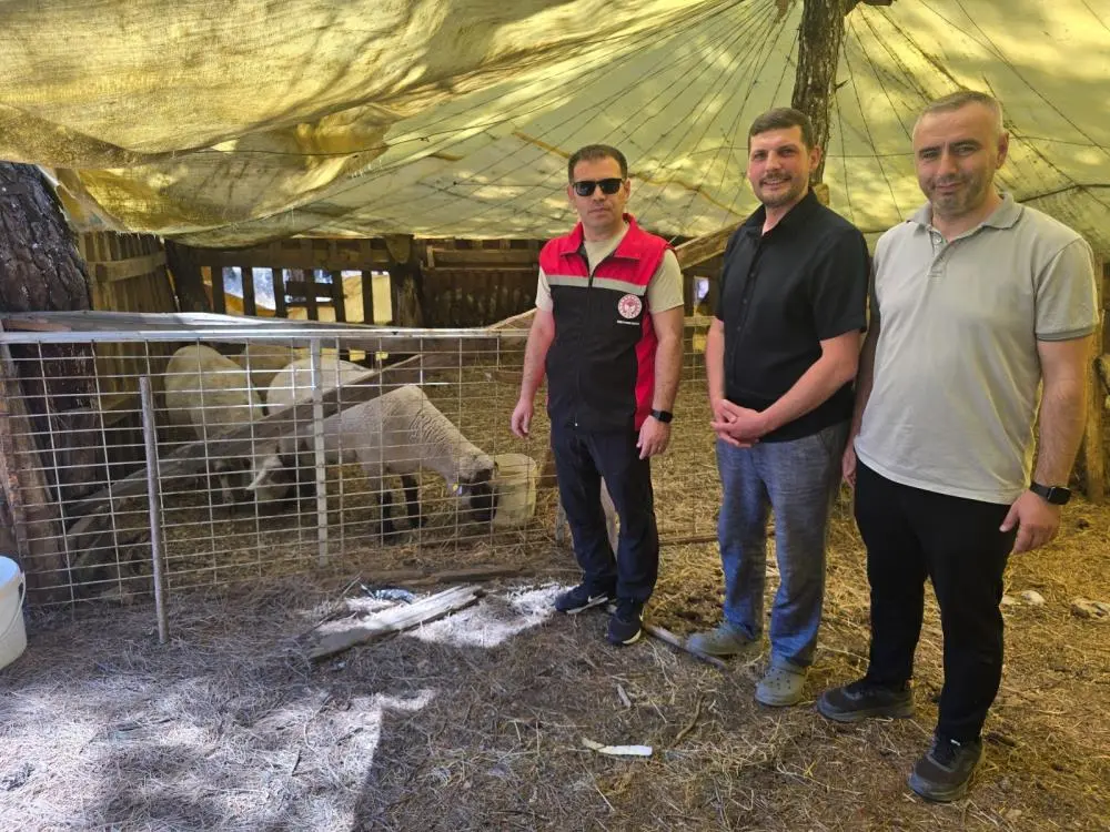 Genç Gazete Orhaneli’nde Hayvancılık İşletmeleri Tek Tek Kontrol Edildi 1